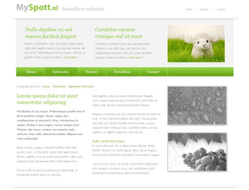 Groen website ontwerp